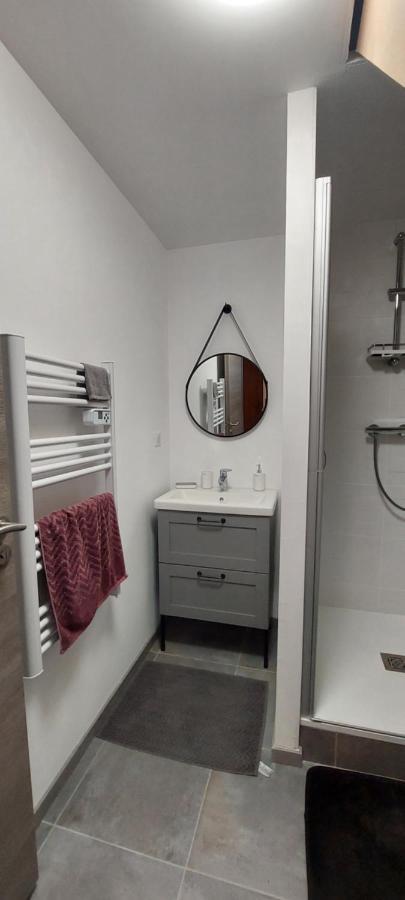 Studio Duplex A Savenay Zewnętrze zdjęcie